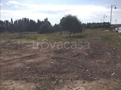 Terreno Agricolo in vendita a Minervino di Lecce via Eugenio Montale