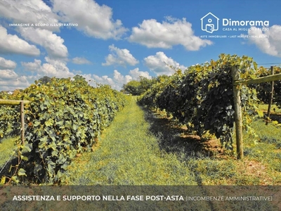 Terreno Agricolo in vendita a Minervino di Lecce via Eugenio Montale, frazione Specchia Gallone