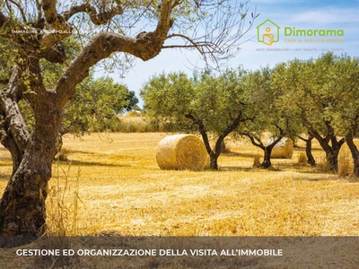Terreno Agricolo in vendita a Monteroni di Lecce via Prov.Le 6 snc