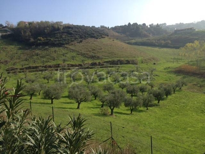 Terreno Agricolo in vendita a Montesilvano ss714