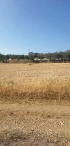 Terreno Agricolo in vendita a Mosciano Sant'Angelo via Balifieri, snc