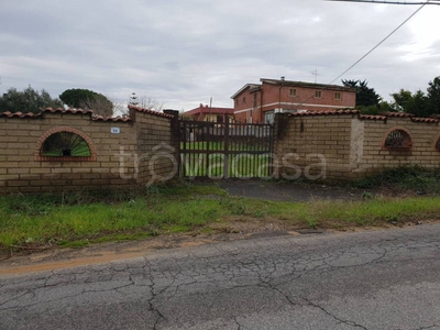 Terreno Agricolo in vendita a Nettuno via Piscina Tre Cancelli, 53