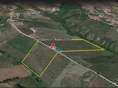 Terreno Agricolo in vendita a Notaresco via Casarino, 25