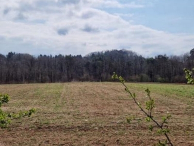 Terreno Agricolo in vendita a Oltrona di San Mamette oltrona di San Mamette