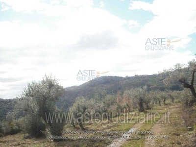 Terreno Agricolo in vendita a Omignano località Montagna - Orto del Mulino