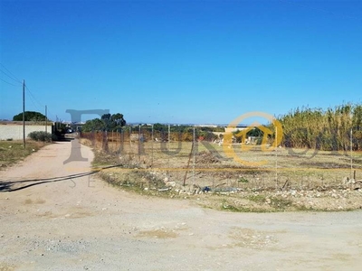 Terreno Agricolo in vendita a Quartu Sant'Elena