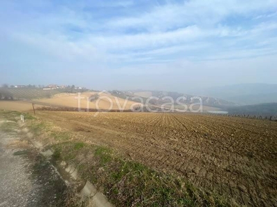 Terreno Agricolo in vendita a Riolo Terme