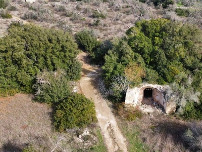 Terreno Agricolo in vendita a Salve strada Vicinale Spiggiare