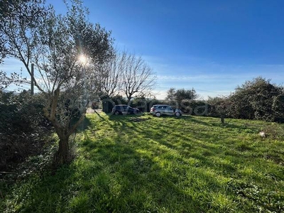 Terreno Agricolo in vendita a San Cesareo via della Favetta