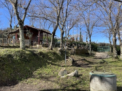 Terreno Agricolo in vendita a San Michele di Serino via bosco Satrano