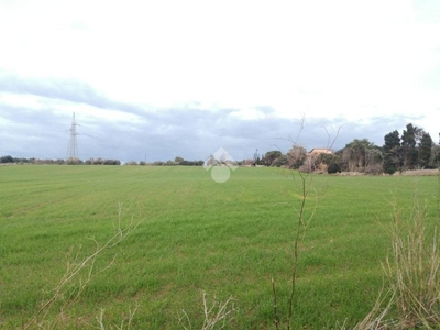 Terreno Agricolo in vendita a Sassari strada Vicinale Giagumona