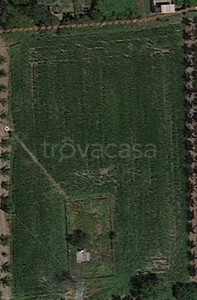 Terreno Agricolo in vendita a Spinadesco via Roma, 37