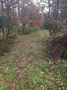 Terreno Agricolo in vendita a Tempio Pausania via Italia Unita, 1