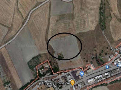 Terreno Agricolo in vendita a Troia via Marcangelo Ambrogio, snc