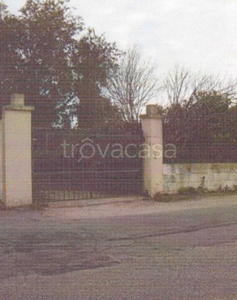 Terreno Agricolo in vendita a Tuglie strada Provinciale Neviano Tuglie