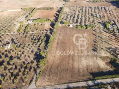 Terreno Agricolo in vendita a Vernole strada Provinciale 143