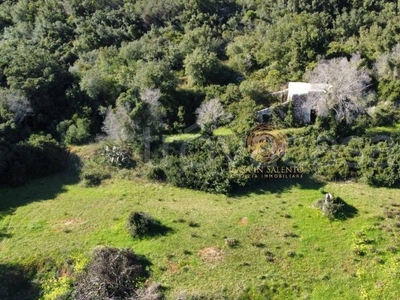 Terreno Agricolo in vendita ad Alessano contrada Boceti