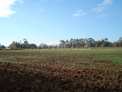 Terreno Agricolo in vendita ad Alghero strada Vicinale Sa Segada