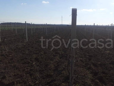 Terreno Agricolo in vendita ad Avetrana sp142