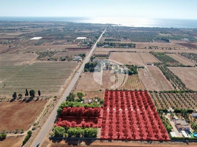 Terreno Residenziale in vendita a Nardò s.p. 114 s. isidoro-copertino, 0