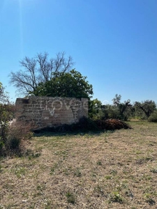 Terreno Residenziale in vendita a Parabita strada Vicinale Tammali