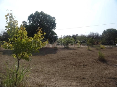 Terreno Residenziale in vendita a Uggiano la Chiesa strada Vicinale Lupara