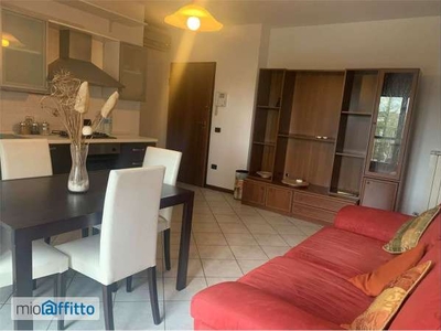 Appartamento arredato con terrazzo Modena