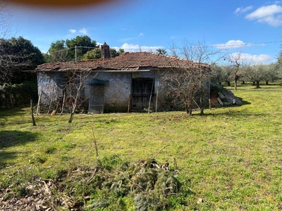 Appartamento in vendita a Velletri Roma