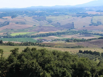 Azienda agricola in vendita a Acquapendente