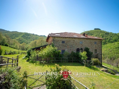 CASALE RISTRUTTURATO IN VENDITA IN TOSCANA, PARCO NAZIONALE FORESTE CASENTINESI