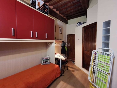 Monolocale in Affitto a Siena, zona Centro storico, 350€, 25 m², arredato