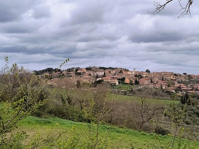 Vendita Terratetto in MURLO