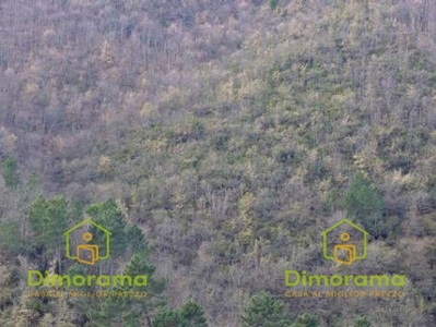 Vendita Terreno Agricolo in FIGLINE E INCISA VALDARNO