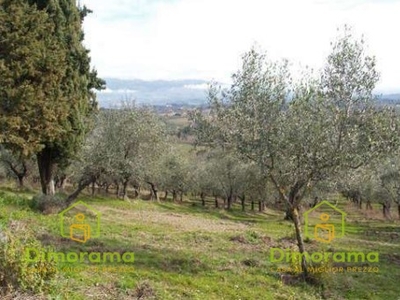 Vendita Terreno Agricolo in FIGLINE E INCISA VALDARNO