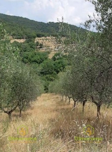 Vendita Terreno Agricolo in FIGLINE E INCISA VALDARNO