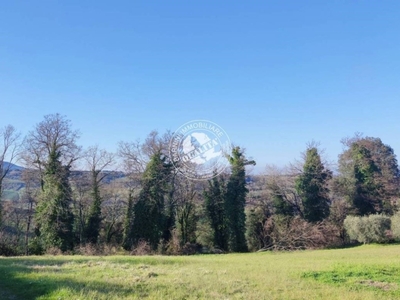 Terreno Agricolo in vendita a Colle di Val d'Elsa strada Regionale di Val di Cecina