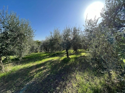 Terreno Agricolo in vendita a Spoleto frazione Ocenelli