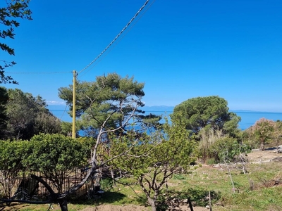 Villa con giardino a Marciana Marina