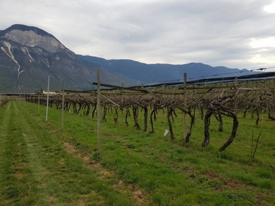 Appartamento in Vendita a Schio Schio - Centro