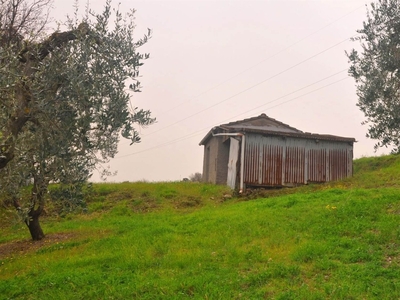Annesso agricolo in Località Pianacce, Rosignano Marittimo, 1 locale