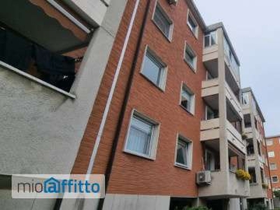 Appartamento arredato con terrazzo Trieste