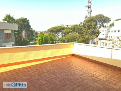 Attico arredato con terrazzo Boccea, torrevecchia, pineta sacchetti, selva candida, ottavia