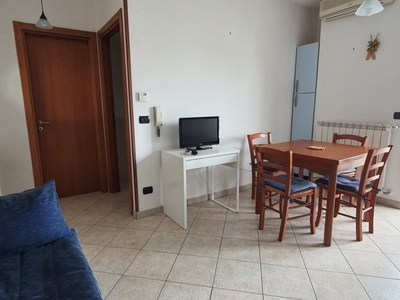 Bilocale in Affitto a Catanzaro, zona Porto, 1'500€, 55 m², arredato