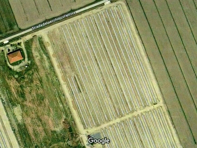Terreno agricolo in Vendita a Grosseto, zona Principina Terra, 130'000€, 55000 m²