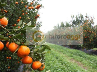 Appartamento in Vendita a Maserà di Padova Maserà - Centro