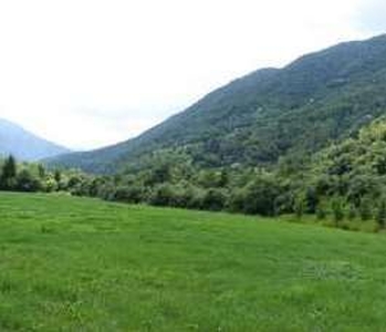 Terreno agricolo in Vendita in Via Guizza a Seren del Grappa