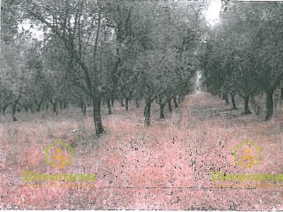 Vendita Terreno Agricolo in SAN CASCIANO IN VAL DI PESA