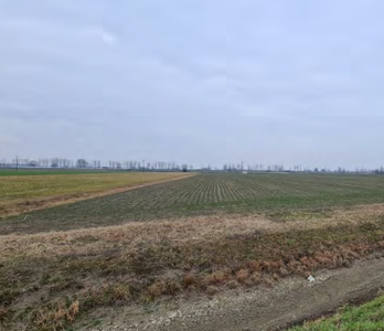 Vendita Terreno Agricolo Magnacavallo