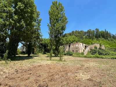 Attivit? commerciale in vendita, San Miniato corazzano