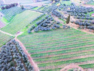 Splendido Agriturismo in piena attività posto in bellissima posizione nel cuore della Toscana.